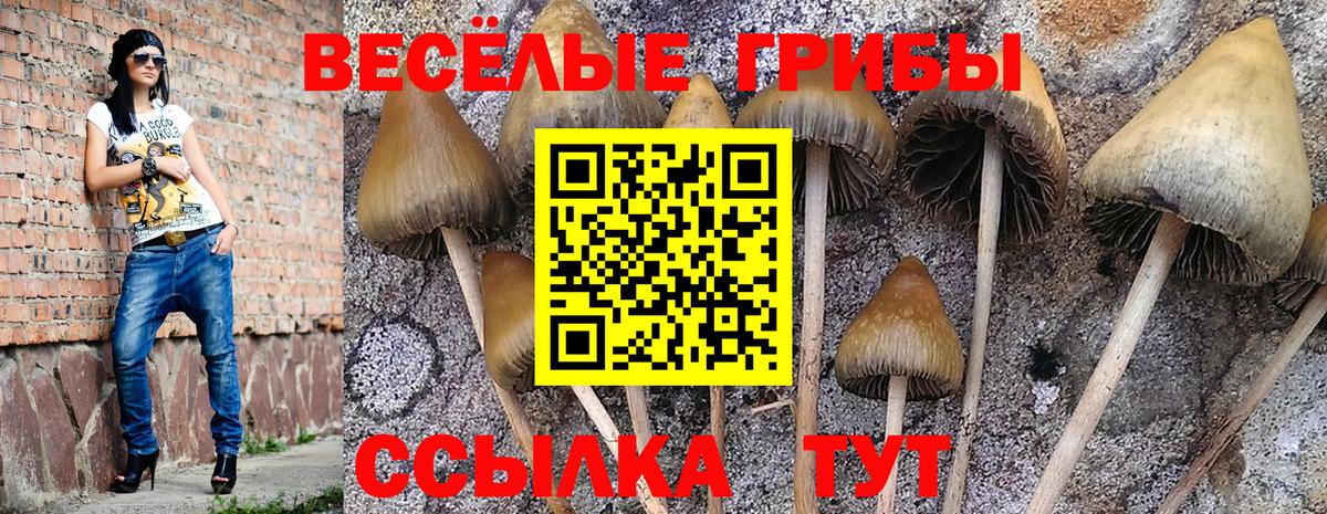 Борзя  Псилоцибиновые грибы MAGIC MUSHROOMS  сколько стоит  Вход с VPN 